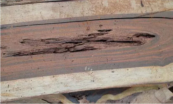木材被虫蛀的痕迹